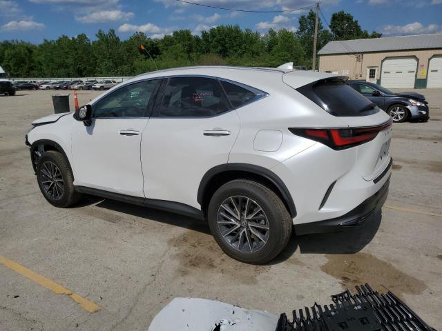 Photo 2 from auction – 2024 LEXUS NX 350H BA with VIN 2T2GKCEZ2RC030455
