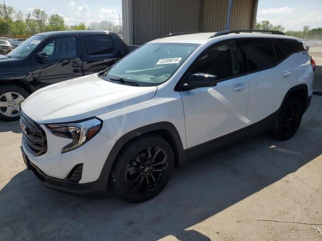 GMC TERRAIN SL 2019 with VIN 3GKALMEV4KL299428 - Photo from auction