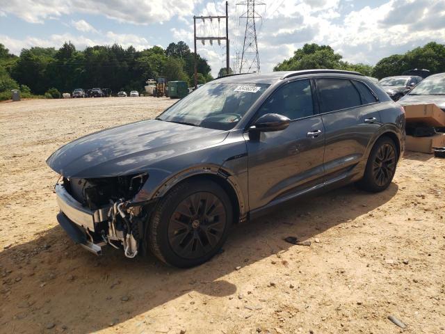 AUDI Q8 E-TRON 2024 with VIN WA16ABGE6RB008619 - Photo from auction