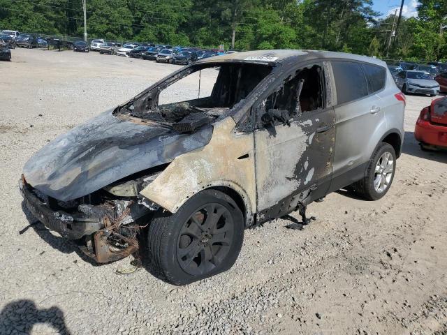 FORD ESCAPE SEL 2013 with VIN 1FMCU0HX4DUA42023 - Photo from auction