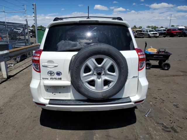 Photo 6 from auction – 2010 TOYOTA RAV4 with VIN 2T3BF4DV3AW075602