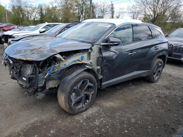 HYUNDAI TUCSON LIM 2024 with VIN KM8JECD12RU160795 - Photo from auction