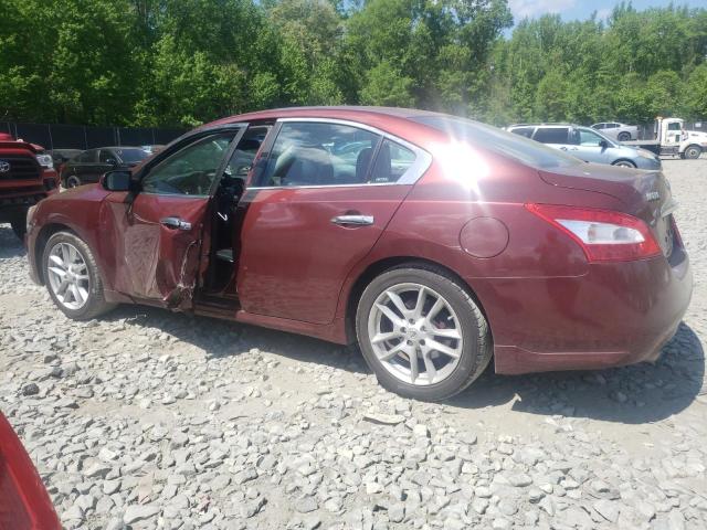 Photo 2 from auction – 2010 NISSAN MAXIMA with VIN 1N4AA5AP5AC854675