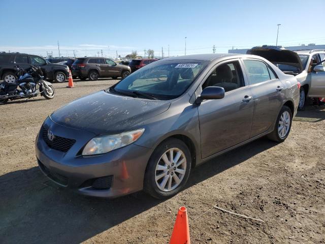 TOYOTA COROLLA BA 2009 with VIN JTDBL40E19J051307 - Photo from auction