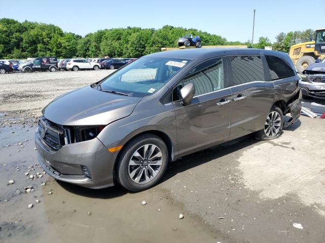 HONDA ODYSSEY EX 2021 with VIN 5FNRL6H70MB036765 - Photo from auction
