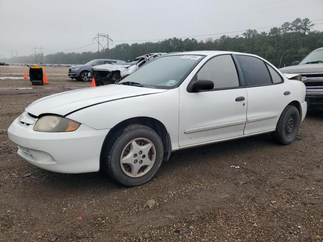 CHEVROLET CAVALIER 2003 with VIN 1G1JC52F437311106 - Photo from auction