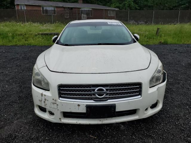 Photo 5 from auction – 2009 NISSAN MAXIMA S with VIN 1N4AA51E89C804282