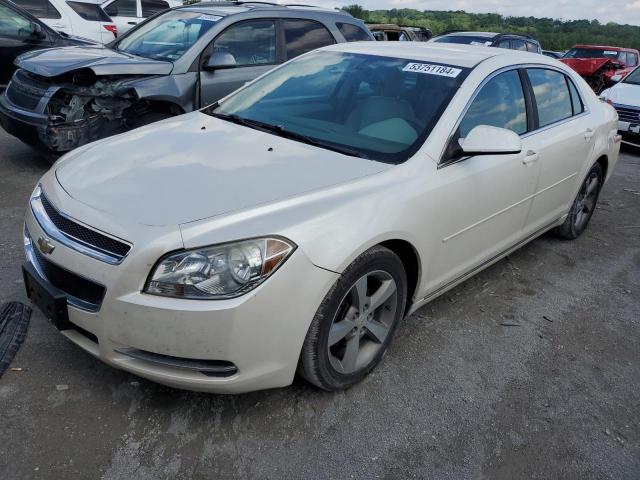 CHEVROLET MALIBU 2LT 2011 with VIN 1G1ZD5E1XBF274843 - Photo from auction