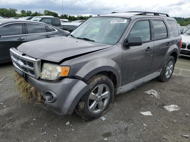 FORD ESCAPE XLT 2010 with VIN 1FMCU0DG6AKB21061 - Photo from auction