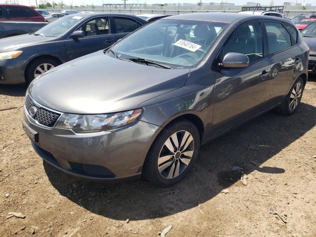 KIA FORTE EX 2013 with VIN KNAFU5A28D5687181 - Photo from auction