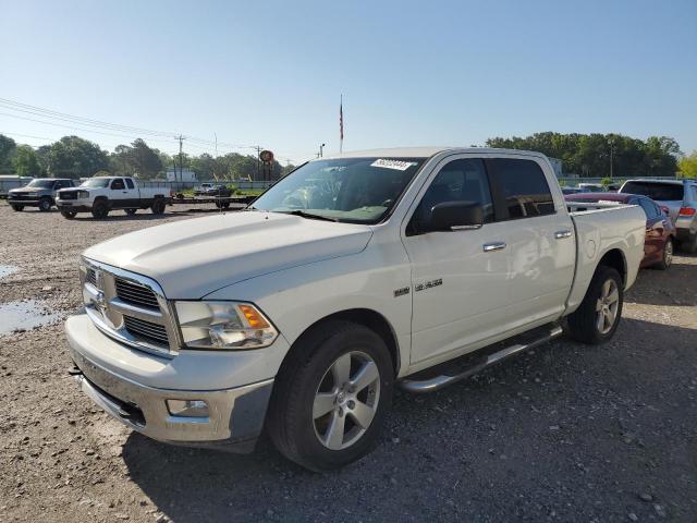 DODGE RAM 1500 2009 with VIN 1D3HB13T39S701617 - Photo from auction