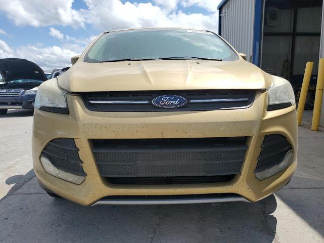 Photo 5 from auction – 2014 FORD ESCAPE SE with VIN 1FMCU0GXXEUC98976