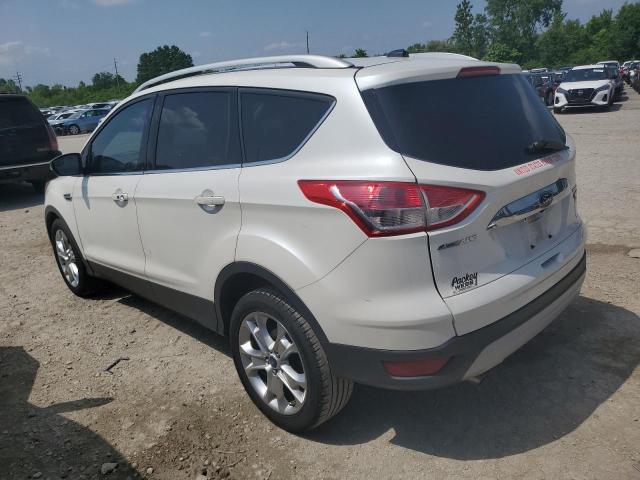 Photo 2 from auction – 2014 FORD ESCAPE TIT with VIN 1FMCU0JX9EUA29358