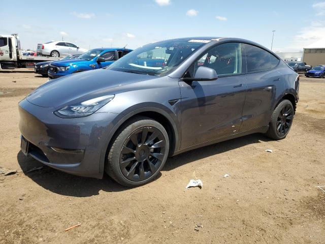 TESLA MODEL Y 2023 with VIN 7SAYGDEE0PA081748 - Photo from auction