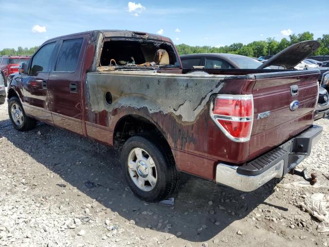 Photo 2 from auction – 2010 FORD F150 SUPER with VIN 1FTEW1C87AFA50887
