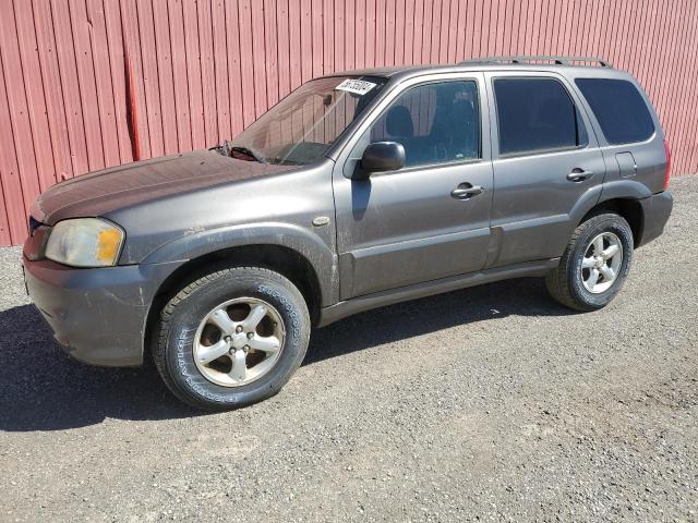 MAZDA TRIBUTE I 2006 with VIN 4F2YZ92Z96KM35265 - Photo from auction