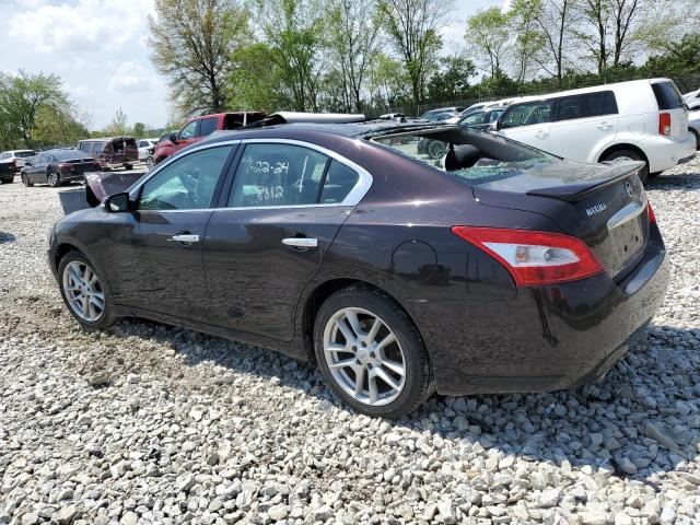 Фото 2 с аукциона – 2011 NISSAN MAXIMA S с VIN 1N4AA5AP5BC818812