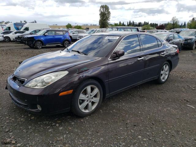 LEXUS ES 330 2005 with VIN JTHBA30G355135390 - Photo from auction