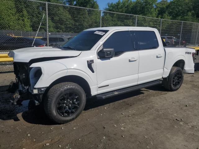 FORD F150 XLT 2024 with VIN 1FTFW3LD5RFA49813 - Photo from auction