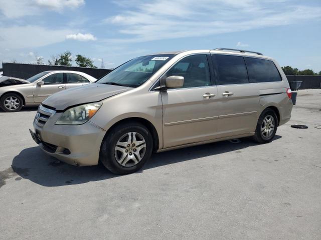 HONDA ODYSSEY EX 2006 with VIN 5FNRL38446B439803 - Photo from auction
