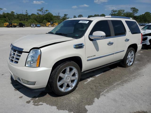 CADILLAC ESCALADE H 2010 with VIN 1GYUKEEJ7AR246464 - Photo from auction