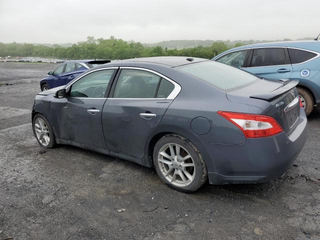 Photo 2 from auction – 2010 NISSAN MAXIMA with VIN 1N4AA5AP4AC828102