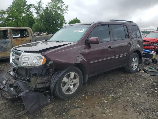 HONDA PILOT EXL 2010 with VIN 5FNYF4H67AB021366 - Photo from auction