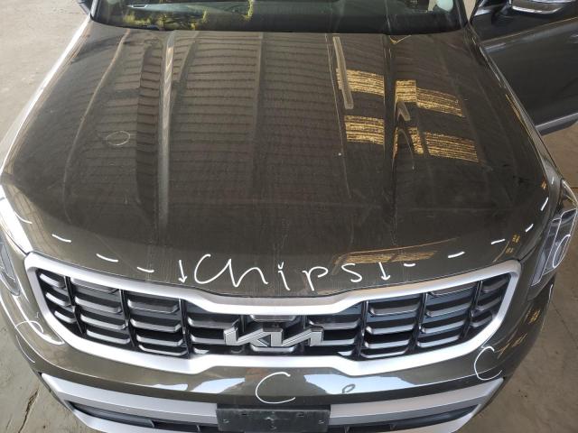 Photo 12 from auction – 2023 KIA TELLURIDE with VIN 5XYP6DGC9PG403371