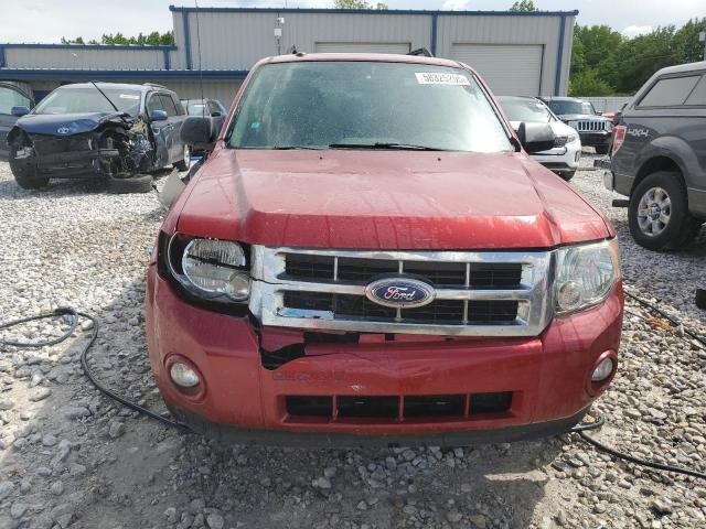 Photo 5 from auction – 2010 FORD ESCAPE XLT with VIN 1FMCU0D76AKD32163