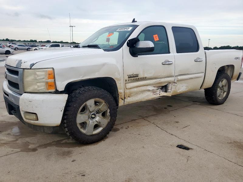 CHEVROLET SILVERADO 2009 with VIN 3GCEK23M59G277634 - Photo from auction