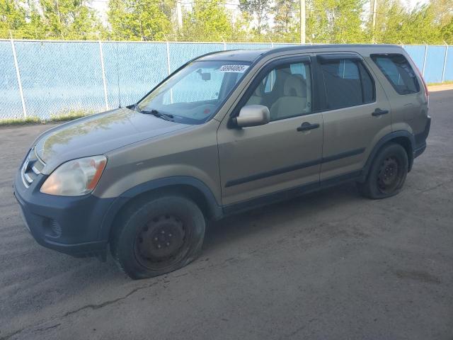 HONDA CR-V EX 2006 with VIN JHLRD78886C813384 - Photo from auction