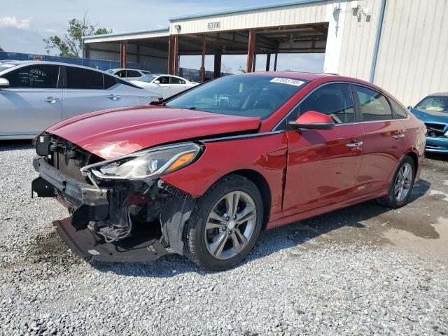 HYUNDAI SONATA LIM 2019 with VIN 5NPE34AFXKH738871 - Photo from auction