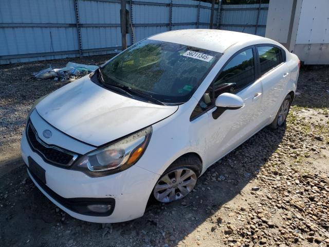 KIA RIO EX 2013 with VIN KNADN4A37D6300301 - Photo from auction
