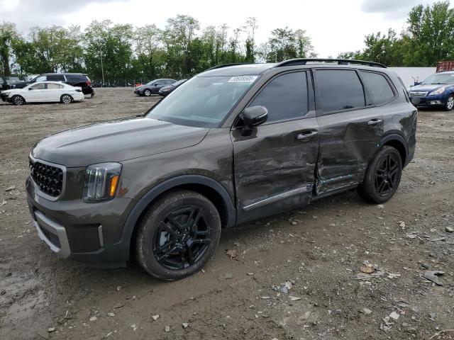 KIA TELLURIDE 2023 with VIN 5XYP3DGCXPG337826 - Photo from auction