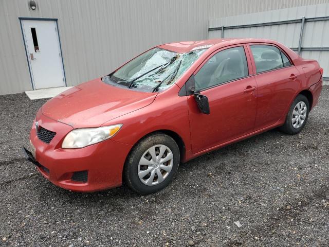 TOYOTA COROLLA BA 2010 with VIN 1NXBU4EE2AZ363768 - Photo from auction