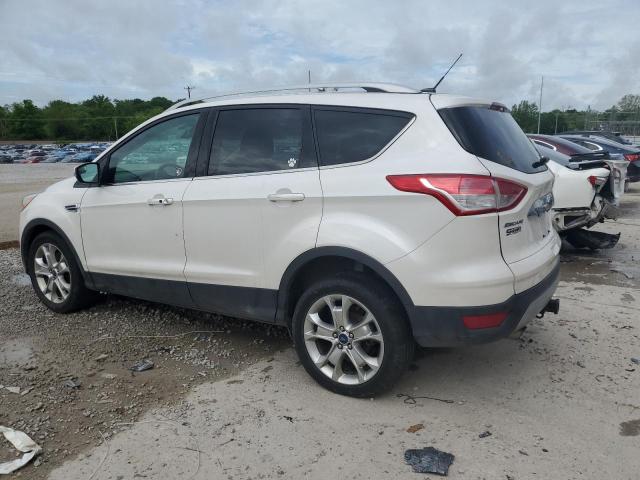 Photo 2 from auction – 2014 FORD ESCAPE TIT with VIN 1FMCU9J9XEUC81528