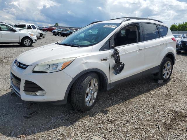 FORD ESCAPE SEL 2013 with VIN 1FMCU0H99DUC85070 - Photo from auction