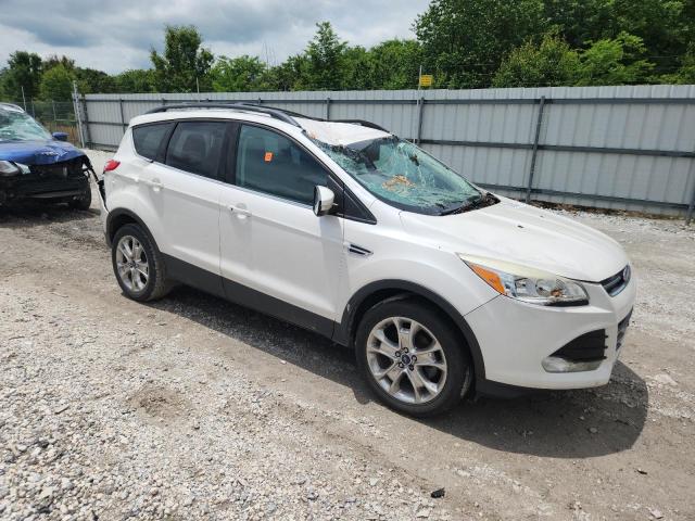 Photo 4 from auction – 2013 FORD ESCAPE SEL with VIN 1FMCU0HX7DUD85344
