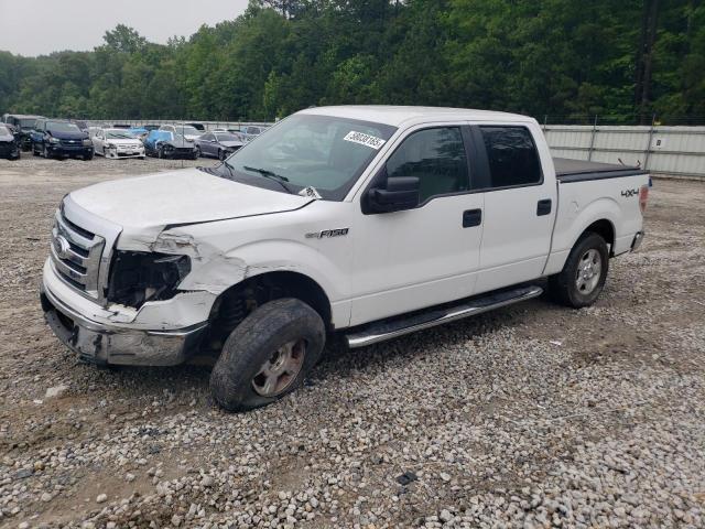 FORD F150 SUPER 2010 with VIN 1FTEW1E88AFD62472 - Photo from auction
