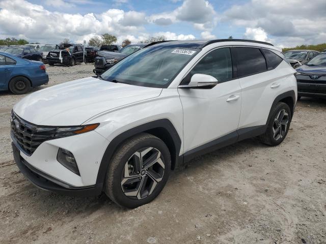 HYUNDAI TUCSON LIM 2023 with VIN 5NMJECAE6PH249379 - Photo from auction