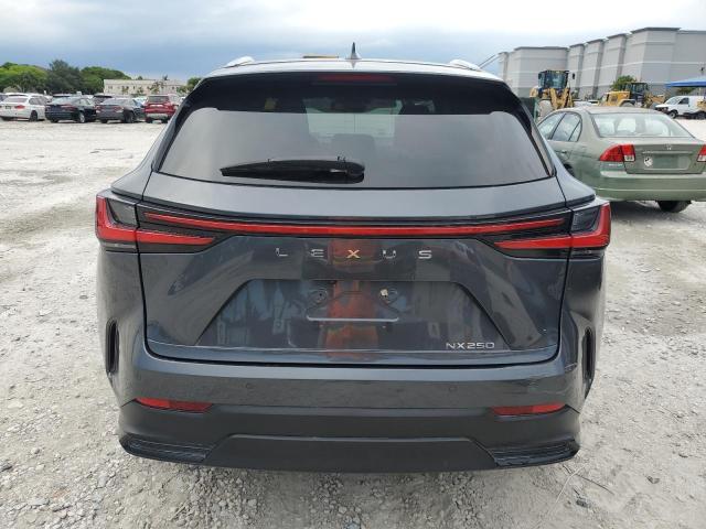 Photo 6 from auction – 2024 LEXUS NX 250 PRE with VIN 2T2GDCAZ2RC007063