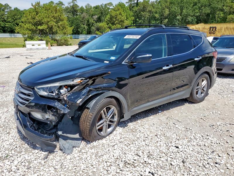 HYUNDAI SANTA FE S 2017 with VIN 5NMZU3LB0HH007360 - Photo from auction