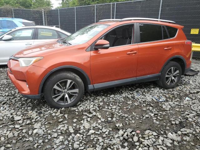 TOYOTA RAV4 XLE 2016 with VIN 2T3RFREV9GW434888 - Photo from auction