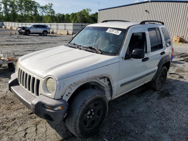 Photo 1 from auction – 2003 JEEP LIBERTY SP with VIN 1J4GL48K33W541364