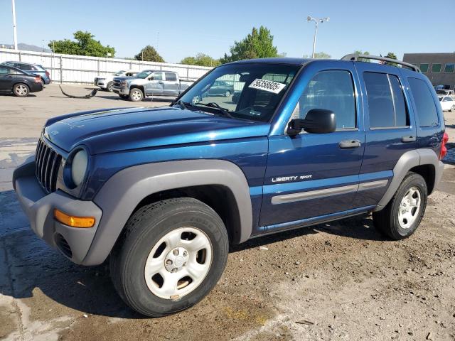 Photo 1 from auction – 2003 JEEP LIBERTY SP with VIN 1J4GL48K93W615175