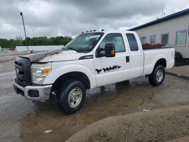 FORD F250 SUPER 2011 with VIN 1FT7X2B66BED04561 - Photo from auction