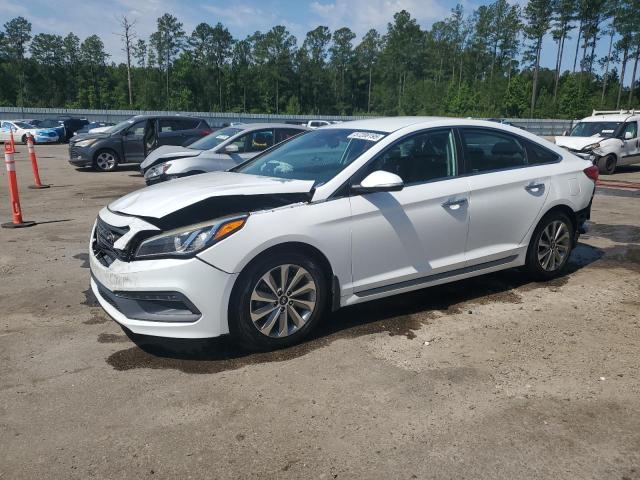 HYUNDAI SONATA SPO 2016 with VIN 5NPE34AF0GH300299 - Photo from auction