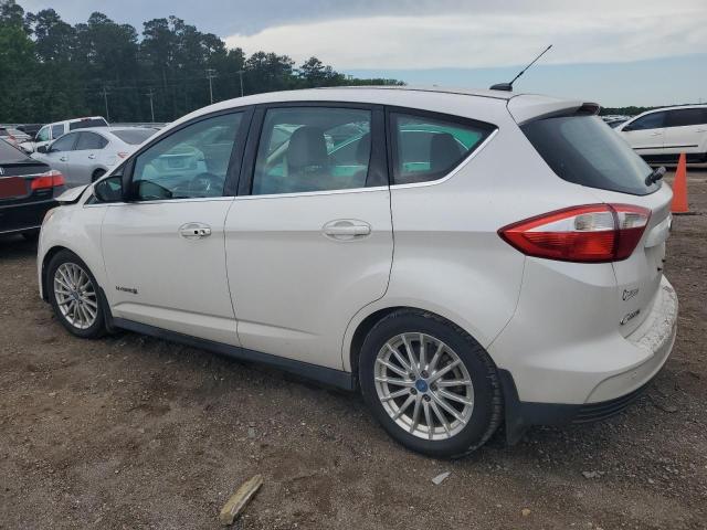 Photo 2 from auction – 2013 FORD C-MAX SEL with VIN 1FADP5BU3DL503803