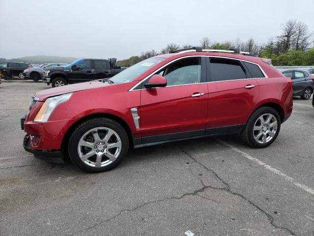CADILLAC SRX PREMIU 2010 with VIN 3GYFNFEY3AS561083 - Photo from auction