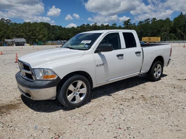 DODGE RAM 1500 2010 with VIN 1D7RB1GP0AS221331 - Photo from auction